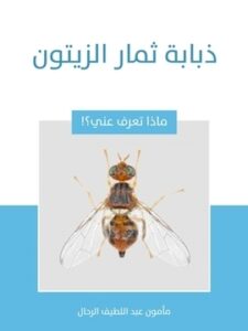 ذبابة ثمار الزيتون